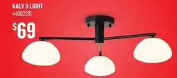 Canac Ceiling Mount offer
