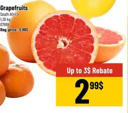 Mayrand Grapefruits offer