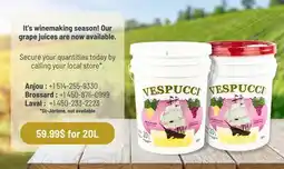 Mayrand VESPUCCI offer