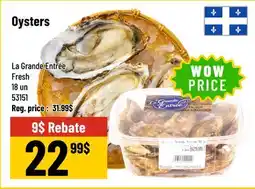 Mayrand Oysters offer