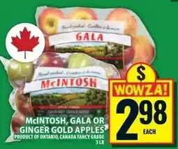Food Basics McIntosh, Gala or Ginger Gold Apples offer
