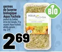 Metro Aqua Fuchsia alfalfa sprouts offer