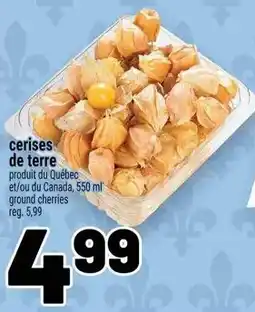 Metro ground cherries offer