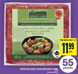 Food Basics New Zealand lean ground lamb offer