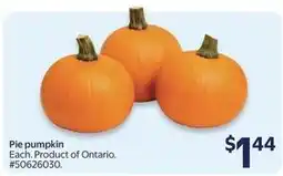 Walmart Pie pumpkin offer