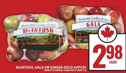 Food Basics McIntosh, Gala or Ginger Gold Apples offer