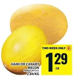Food Basics Hami or Canary Melon offer