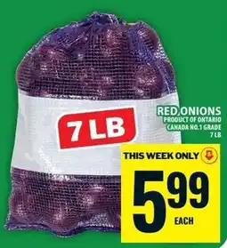 Food Basics Red onions offer