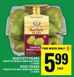Food Basics Bartlett pears offer