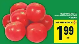 Food Basics Field Tomatoes offer