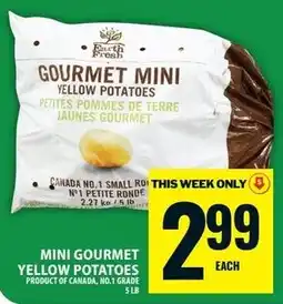 Food Basics Your Fresh Market gourmet mini yellow potatoes offer