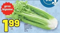 Metro céleri offer