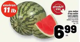 Metro seedless large whole watermelon offer