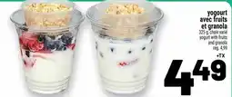 Metro yogurt with fruits and granola offer