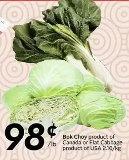 Sobeys Bok Choy or Flat Cabbage offer