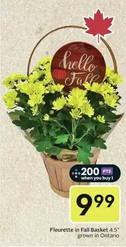 Sobeys Fleurette in Fall Basket offer