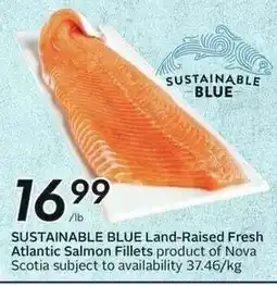 Sobeys Sustainable Blue Atlantic Salmon Fillets offer