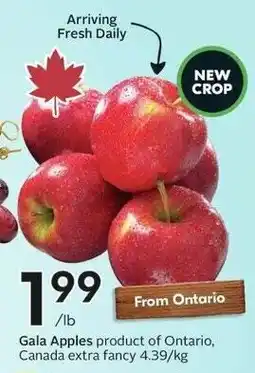 Sobeys Gala Apples offer