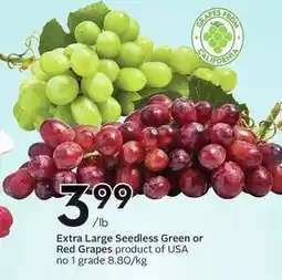 Sobeys Extra Large Seedless Green or Red Grapes offer