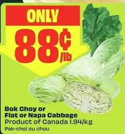 FreshCo Bok Choy or Flat or Napa Cabbage offer