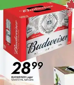 Sobeys Budweiser Lager offer