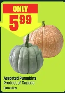 FreshCo Assorted Pumpkins offer