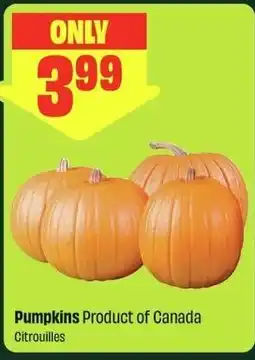 FreshCo Pumpkins offer
