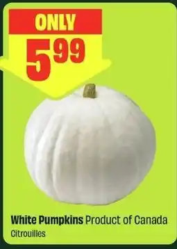 FreshCo White Pumpkins offer