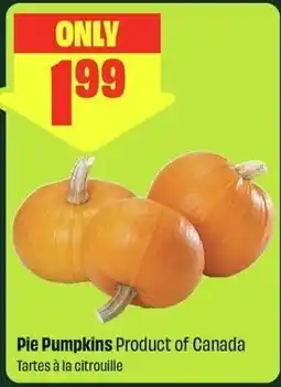 FreshCo Pie Pumpkins offer