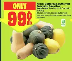 FreshCo Acorn, Butternut, Spaghetti Squash or Rutabaga offer