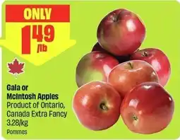 FreshCo Gala or McIntosh Apples offer