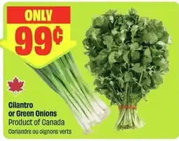 FreshCo Cilantro or Green Onions offer