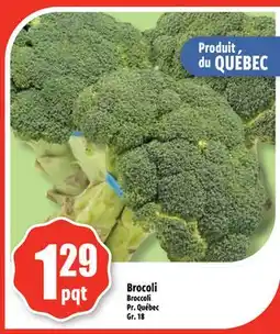 Bonanza Brocoli offer