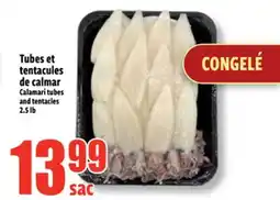 Bonanza Tubes et tentacules de calmar offer