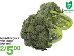 Highland Farms Fresh Broccoli offer
