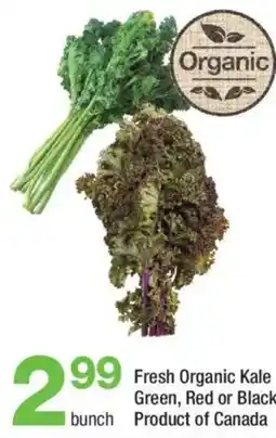 Highland Farms Fresh Organic Kale offer