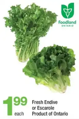 Highland Farms Fresh Endive or Escarole offer