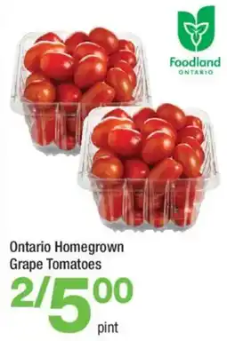 Highland Farms Ontario Homegrown Grape Tomatoes offer