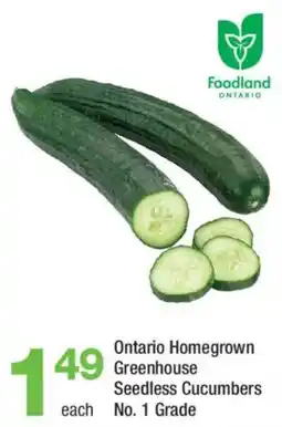 Highland Farms Foodland Ontario Greenhouse Seedless Cucumbers offer