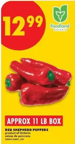 No Frills Red shepherd peppers offer