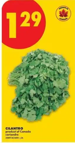 No Frills Cilantro offer