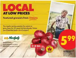 No Frills Farmers Market red onions offer
