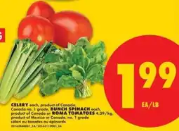 No Frills celery spinach tomatoes offer