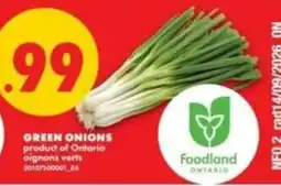 No Frills Green onions offer
