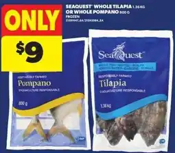 Real Canadian Superstore Seaquest whole tilapia or whole pompano offer