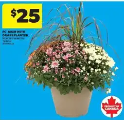 Real Canadian Superstore PC Mum with Grass Planter offer