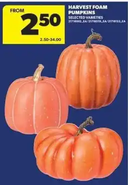 Real Canadian Superstore Harvest foam pumpkins offer