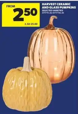 Real Canadian Superstore Harvest Ceramic And Glass Pumpkins offer