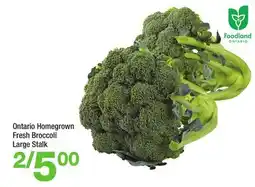Highland Farms Ontario Homegrown Fresh Broccoli Large Stalk offer