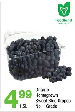 Highland Farms Ontario Homegrown Sweet Blue Grapes offer